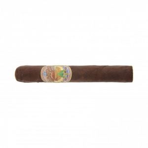 Antigua Esteli Segovias